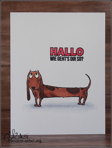 Karte "Happy Hund" mit Katzenkraft und Copic Marker | fraeulein-nebel.org